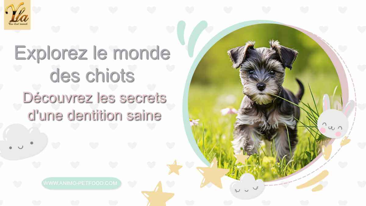 dents-de-chiot-guide-complet-des-soins-dentaires